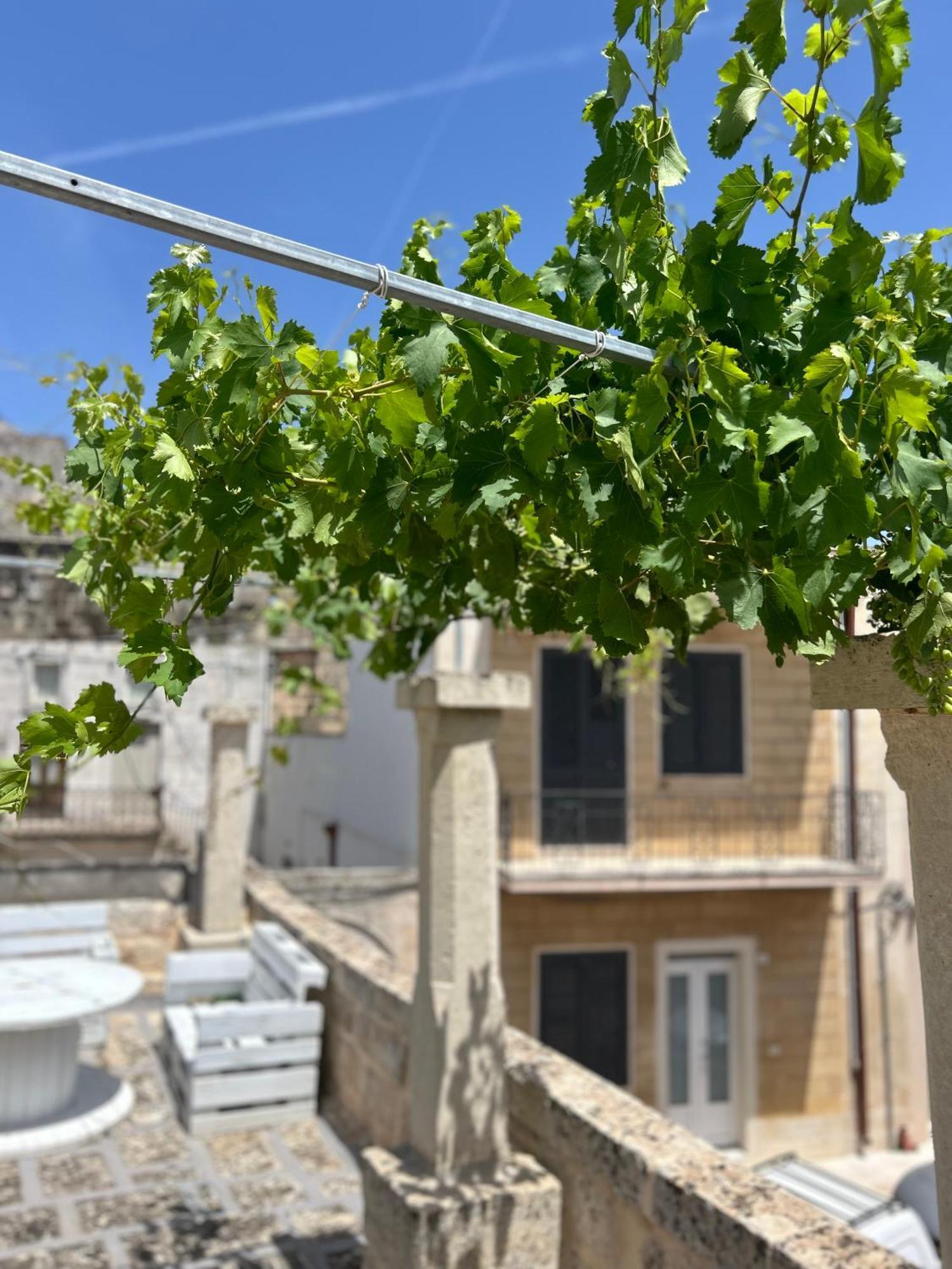Corte Cochlea Cannole Εξωτερικό φωτογραφία